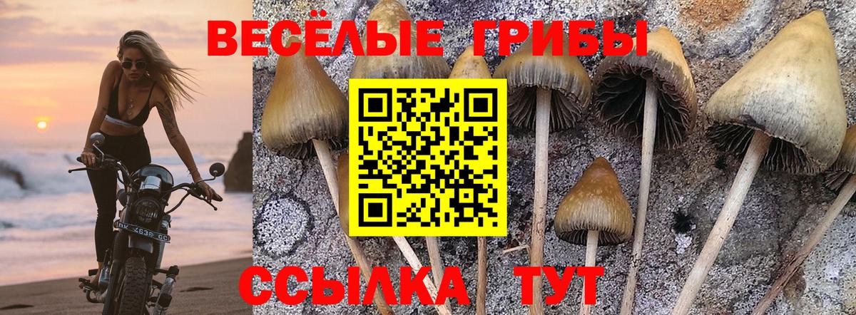Ишим  Псилоцибиновые грибы MAGIC MUSHROOMS  Вход с VPN 