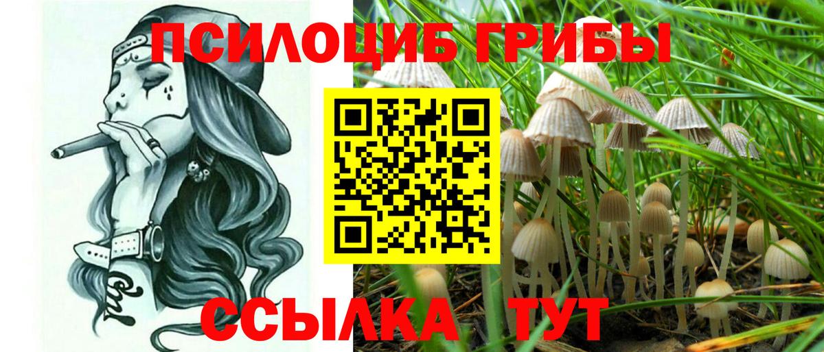 Галлюциногенные грибы GOLDEN TEACHER Ишим